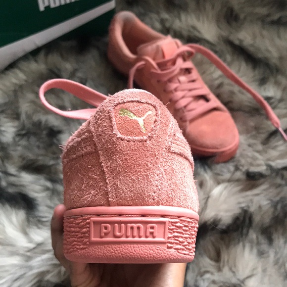 Pumas in the color : desert flower - Picture 3 of 5